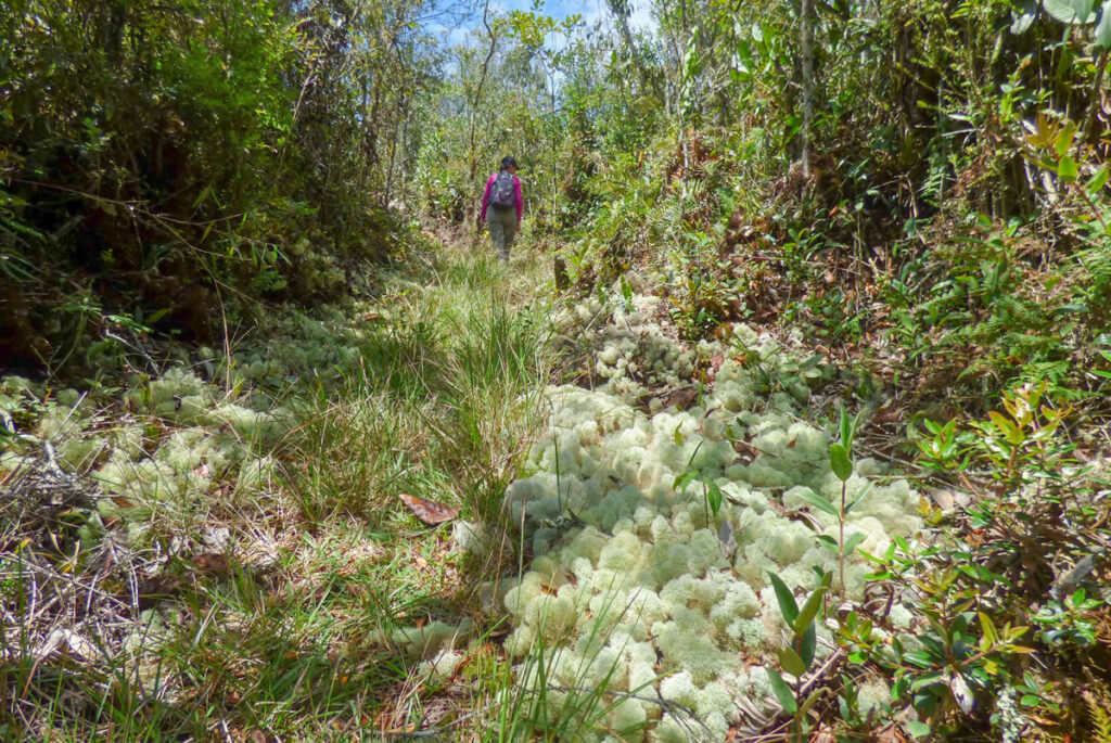 Senderismo La Fe - El Retiro con Antioquia de Aventura