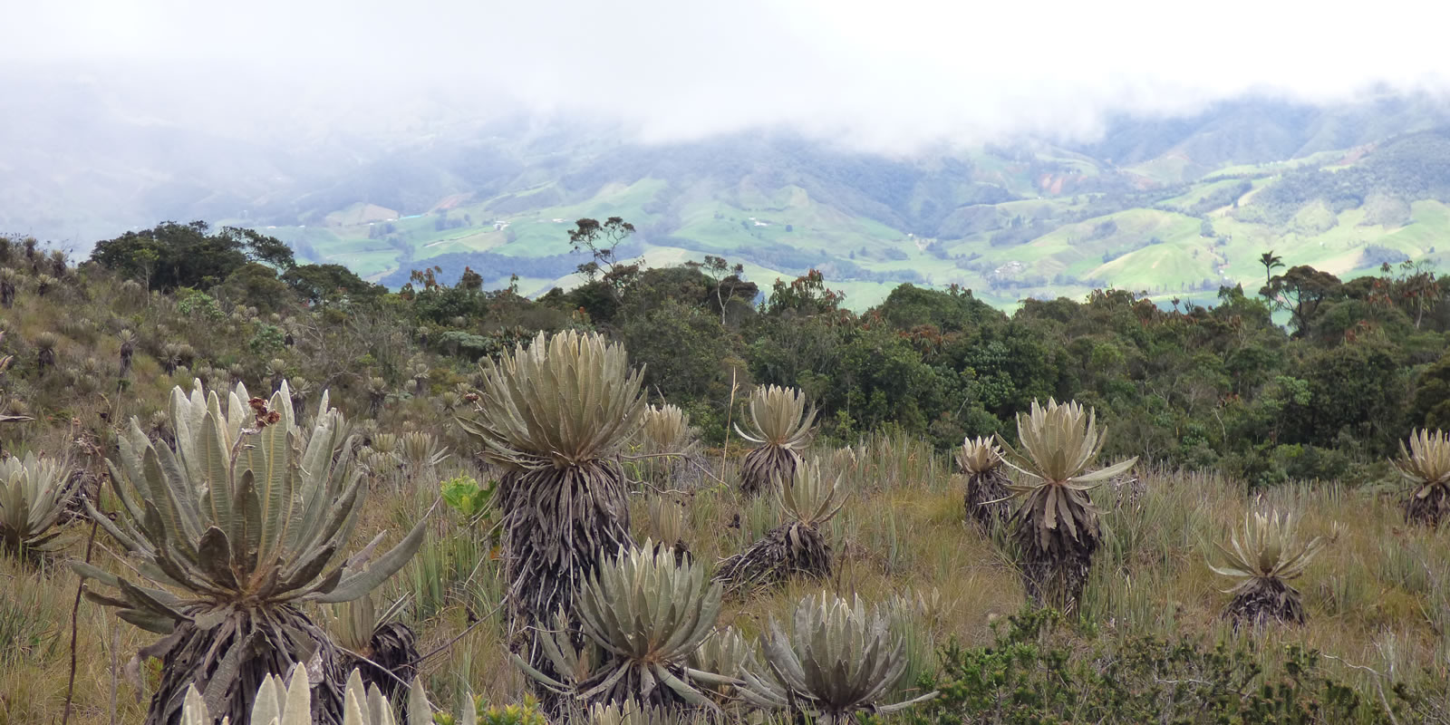 Páramo de Belmira - Antioquia de Aventura