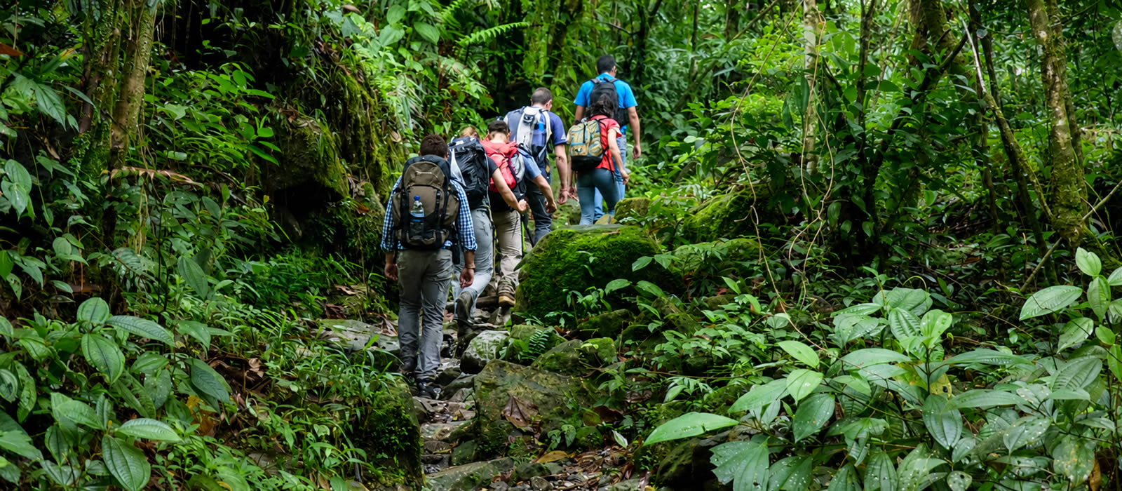 De los Ríos Verdes al Páramo con Antioquia de Aventura