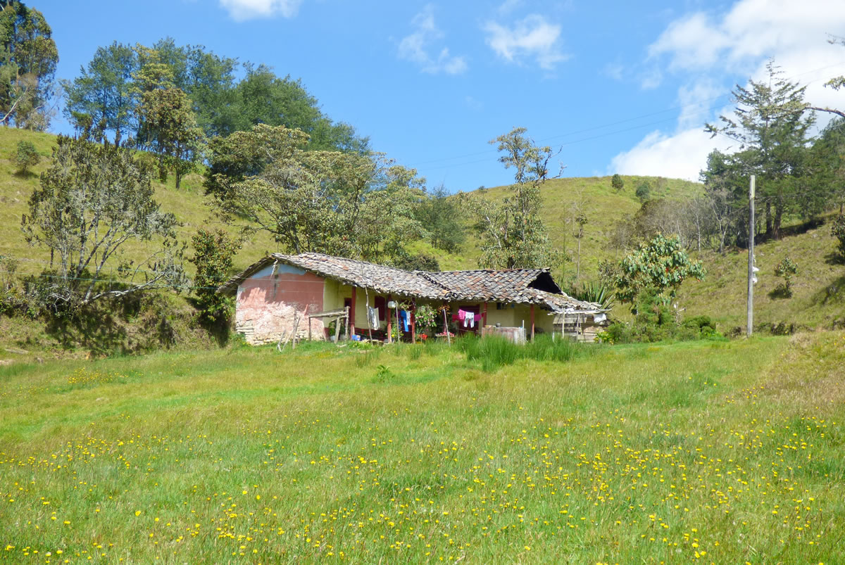 Senderismo Río Grande - Hoyorrico con Antioquia de Aventura