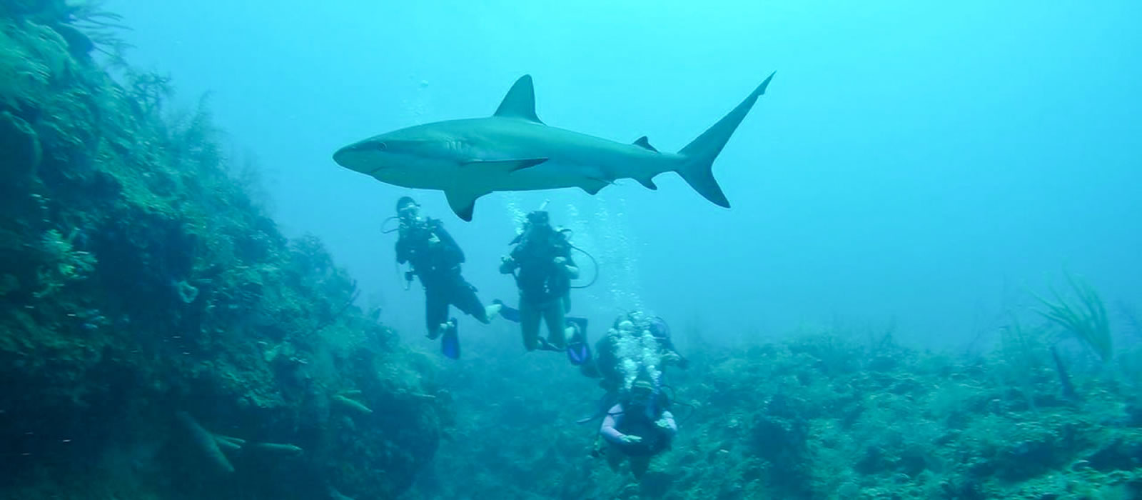 Buceo con Antioquia de Aventura