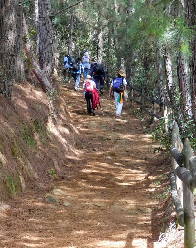 Camino Niquía - Corrales Bello con Antioquia de Aventura