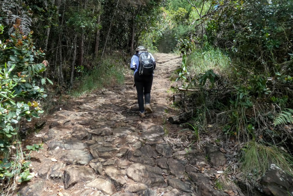 Camino Niquía - Corrales Bello con Antioquia de Aventura