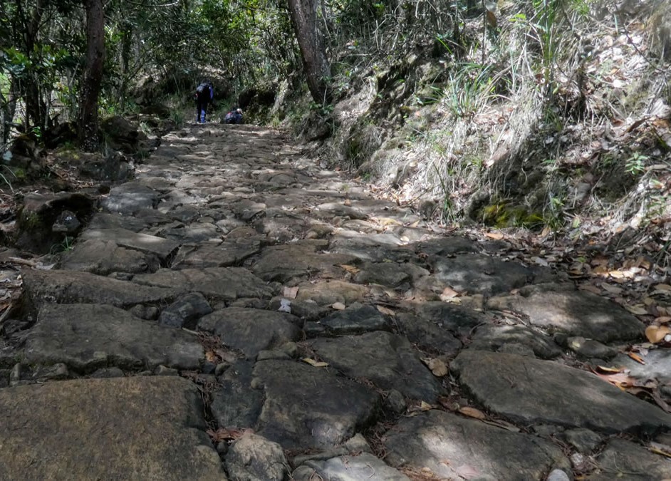 Camino Niquía - Corrales Bello con Antioquia de Aventura
