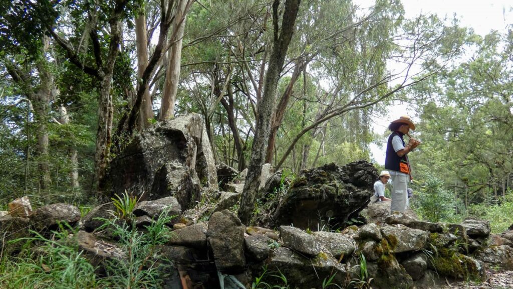 Camino Niquía - Corrales Bello con Antioquia de Aventura