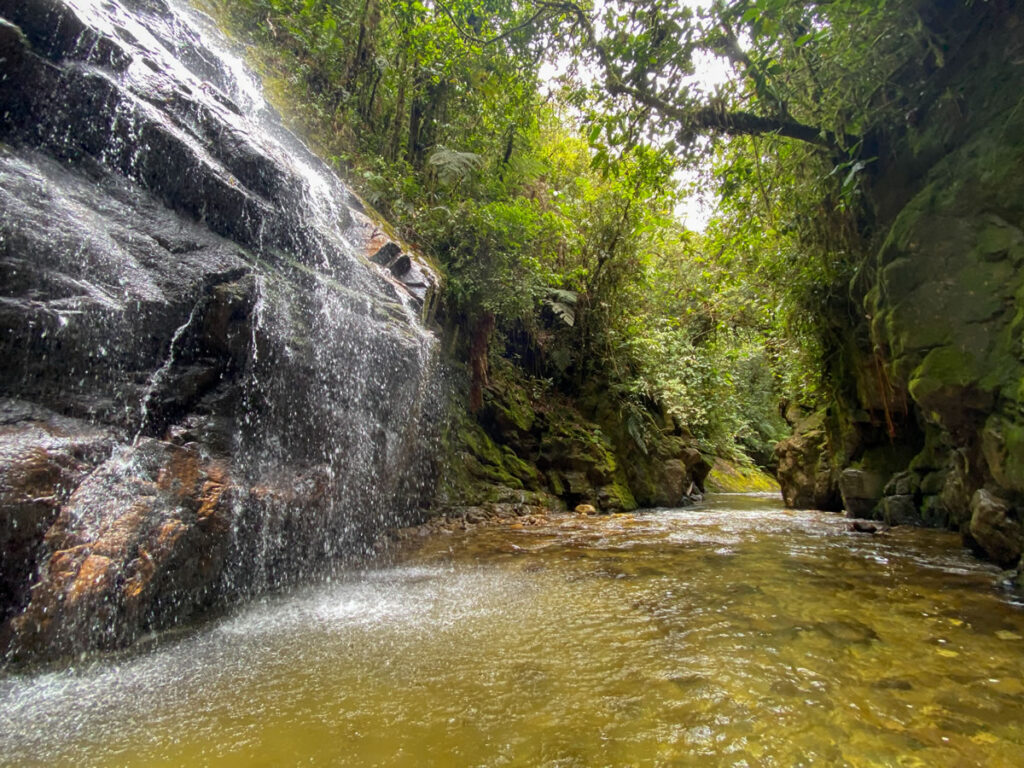 Senderismo Paso del Toro El Retiro con Antioquia de Aventura