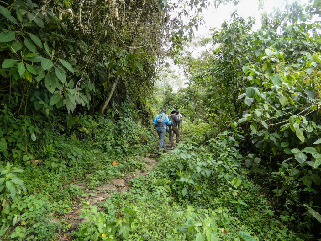 Senderismo Támesis con Antioquia de Aventura