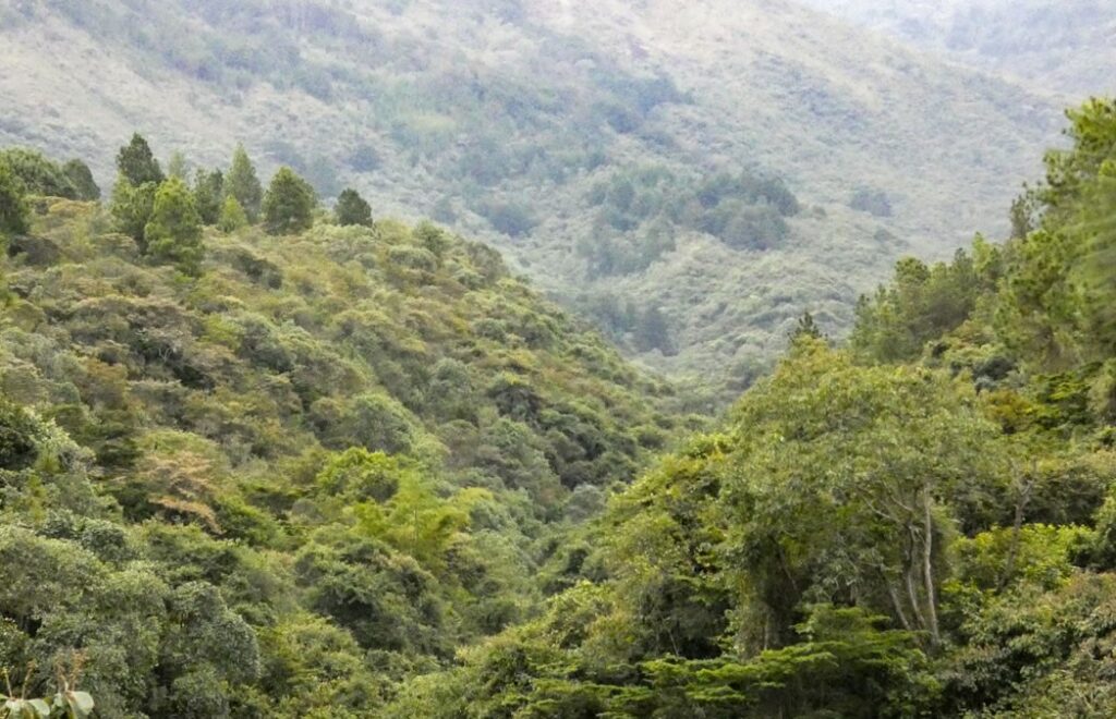 Camino Niquía - Corrales Bello con Antioquia de Aventura