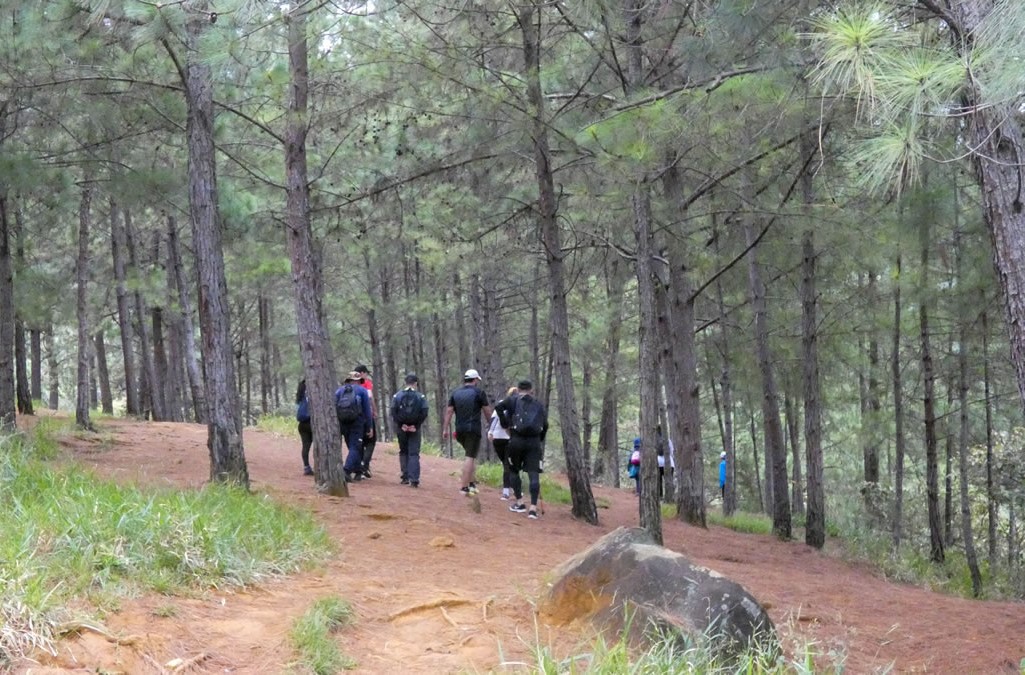 Camino Niquía - Corrales Bello con Antioquia de Aventura