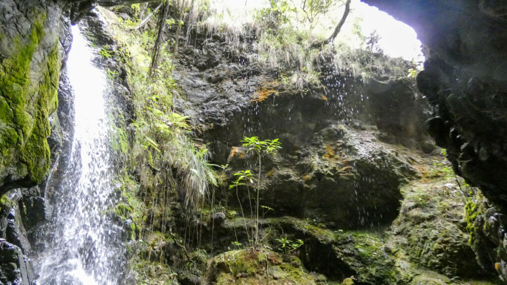 Camino Niquía - Corrales Bello con Antioquia de Aventura