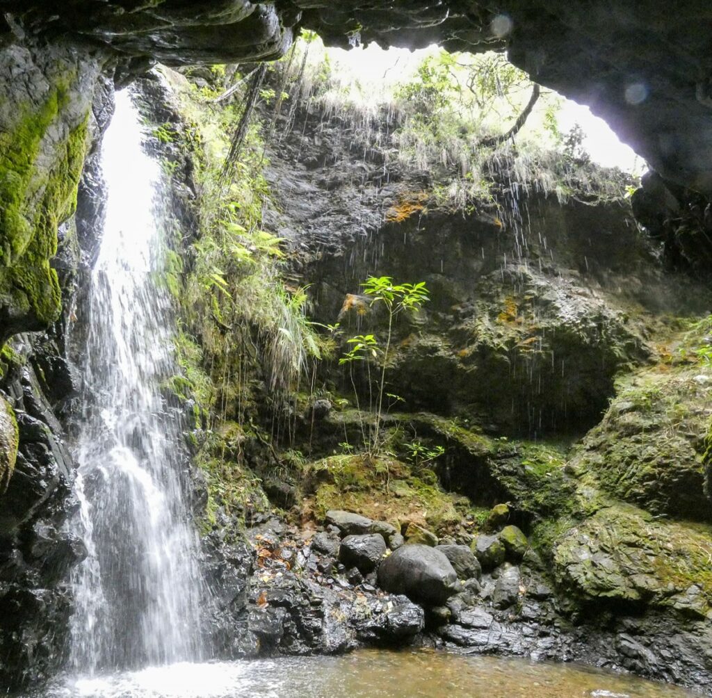 Camino Niquía - Corrales Bello con Antioquia de Aventura