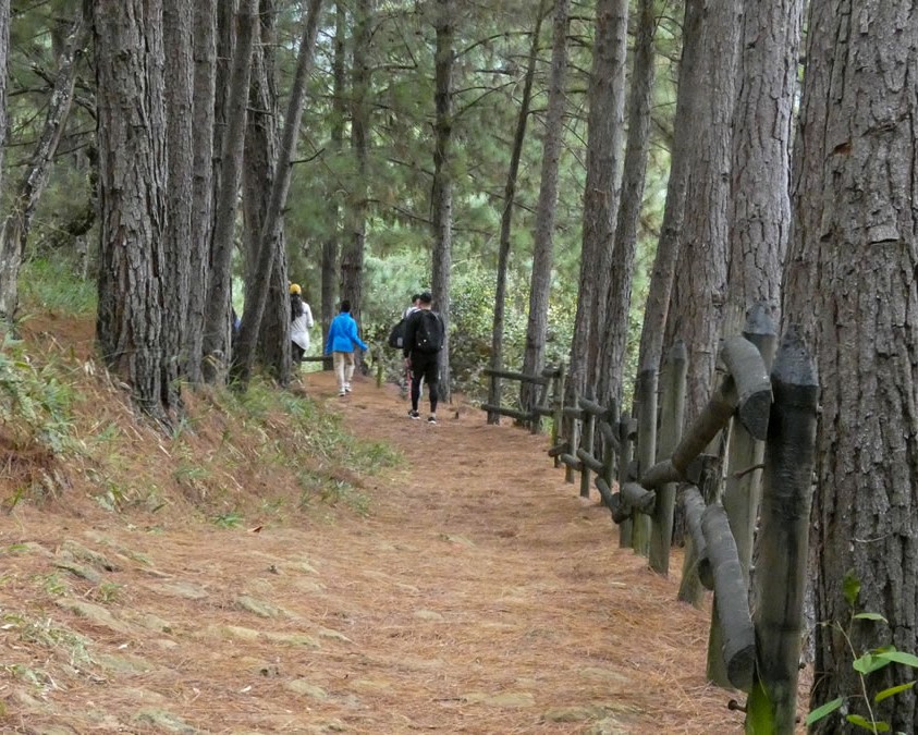 Camino Niquía - Corrales Bello con Antioquia de Aventura