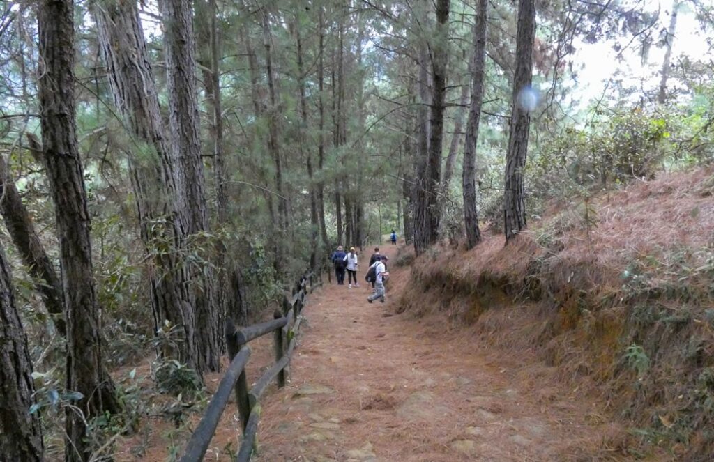 Camino Niquía - Corrales Bello con Antioquia de Aventura