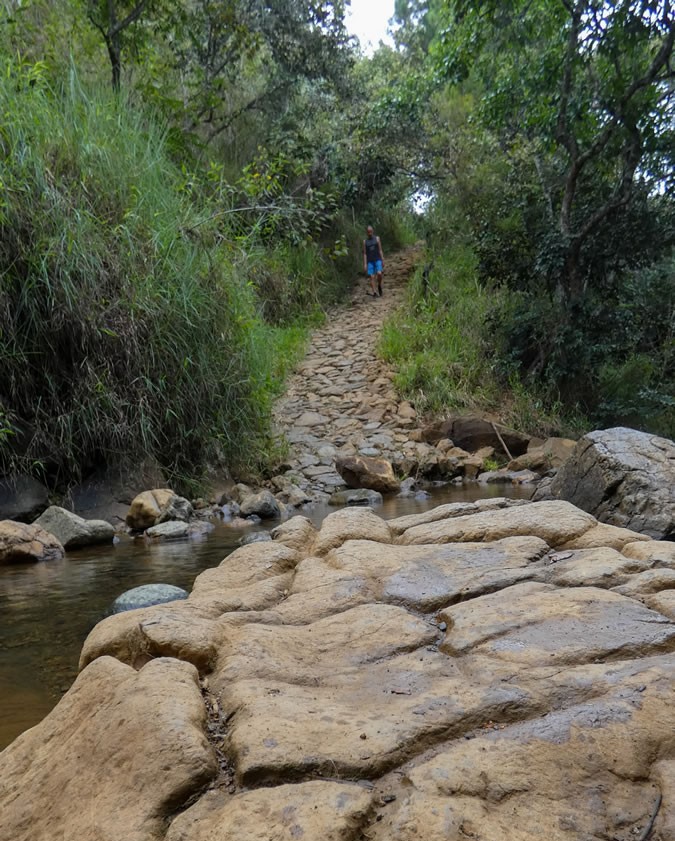 Camino Niquía - Corrales Bello con Antioquia de Aventura