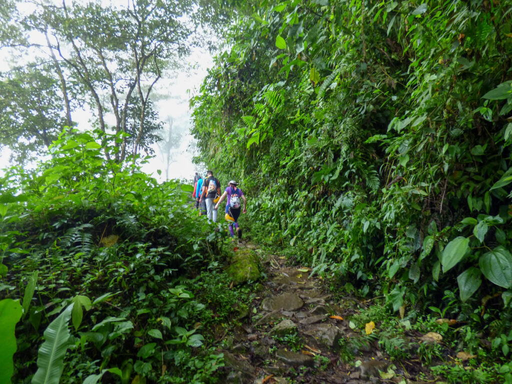 Senderismo organales Támesis con Antioquia de Aventura