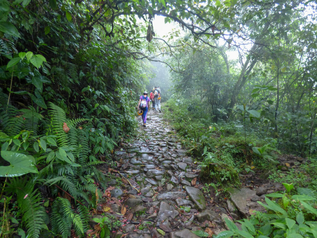Senderismo organales Támesis con Antioquia de Aventura