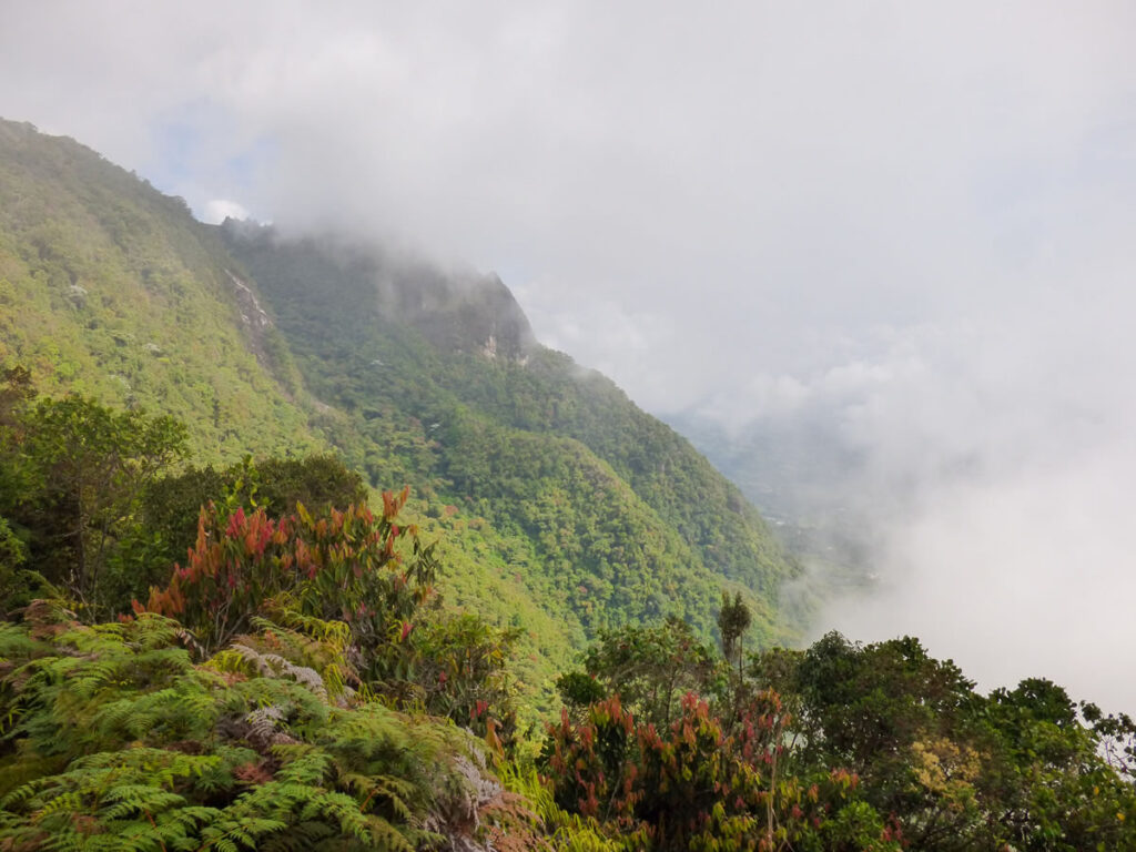 Senderismo organales Támesis con Antioquia de Aventura
