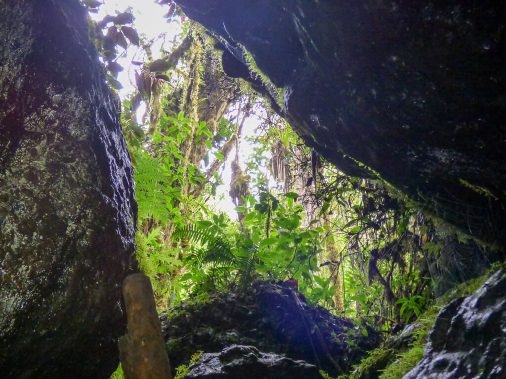 Senderismo organales Támesis con Antioquia de Aventura