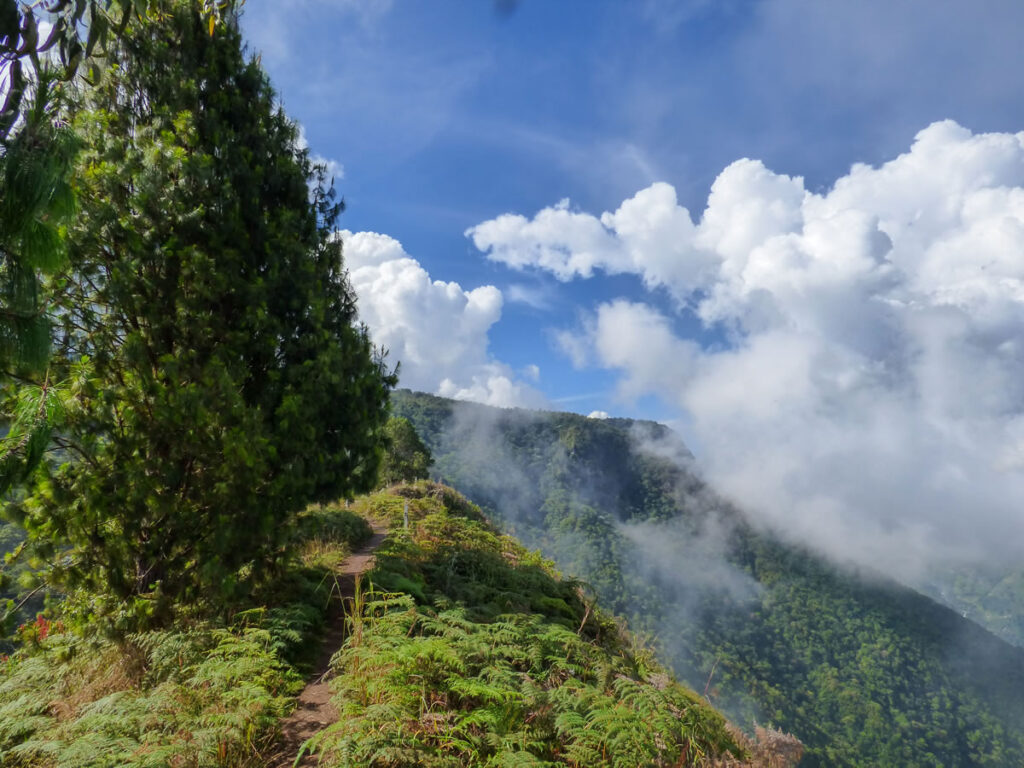 Senderismo organales Támesis con Antioquia de Aventura