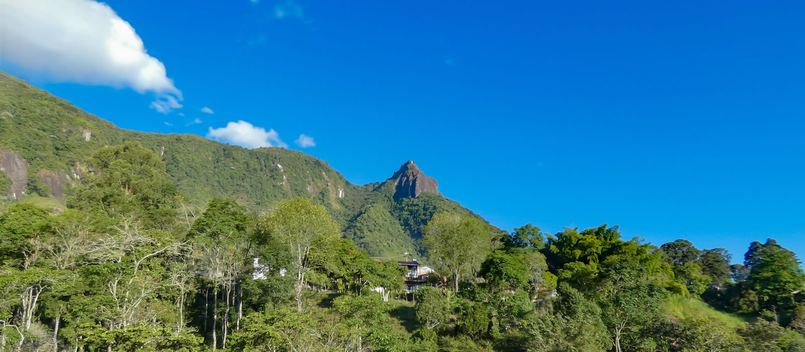 Senderismo Támesis con Antioquia de Aventura