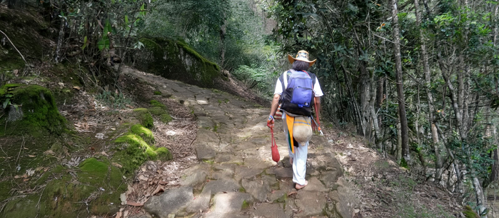 Camino Niquía - Corrales Bello con Antioquia de Aventura