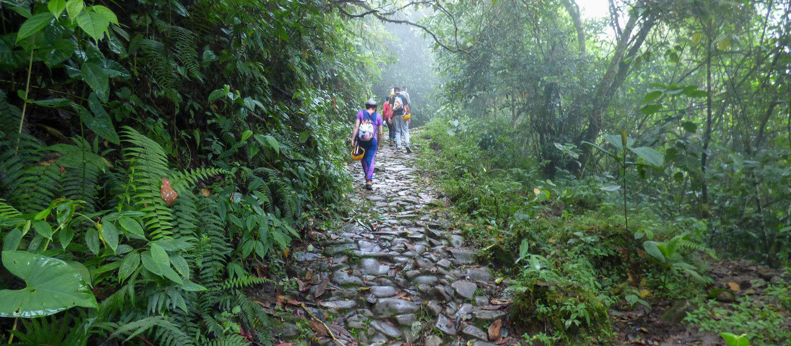 Senderismo organales Támesis con Antioquia de Aventura