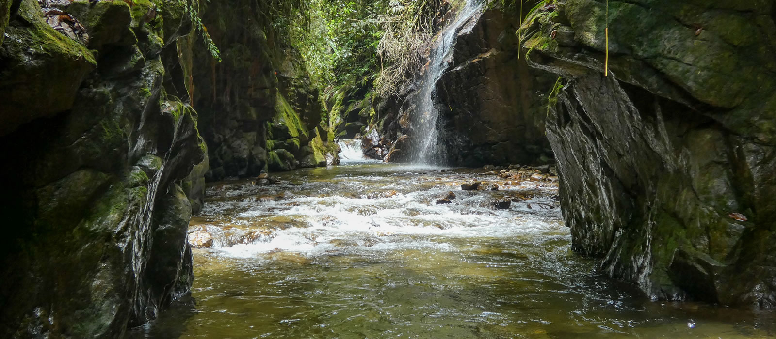 Senderismo Paso del Toro El Retiro con Antioquia de Aventura