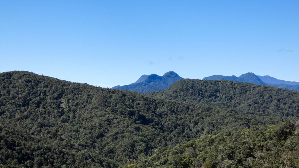 Senderismo Cerro San Miguel La Unión Antioquia, con Antioquia de Aventura