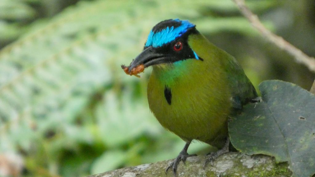 Senderismo Santa Elena y Guarne con Antioquia de Aventura