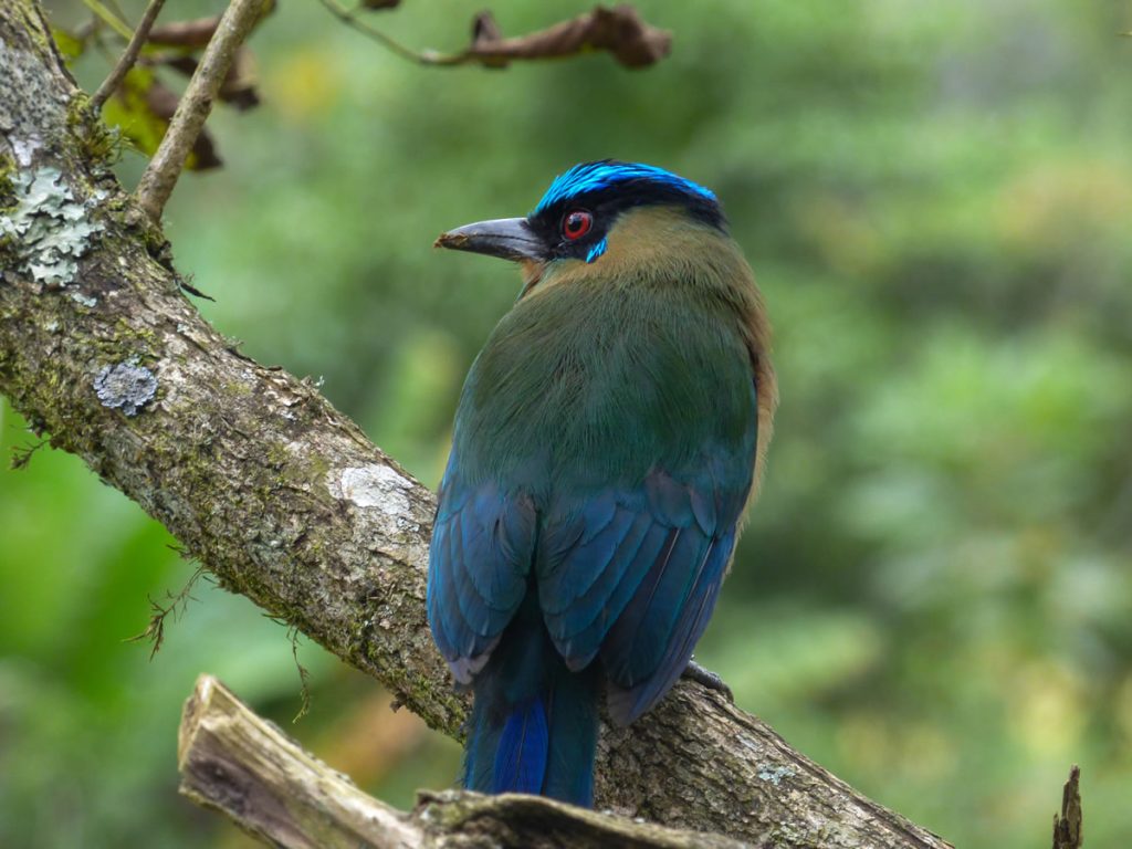 Senderismo Santa Elena y Guarne con Antioquia de Aventura